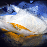 lappuiJaune81x100